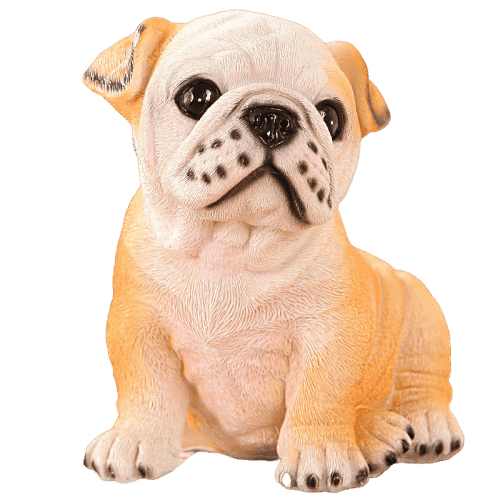 Mealheiro Para Bulldog Francês