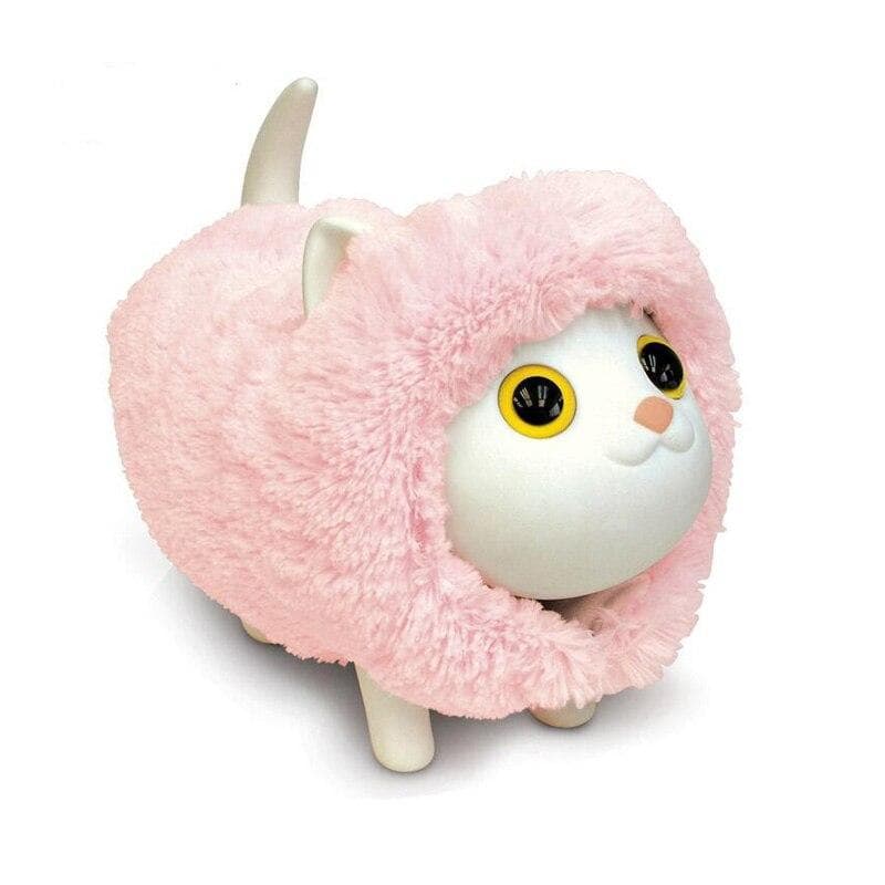 Gato Mealheiro Rapariga
