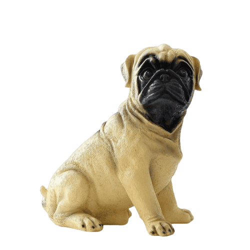 Mealheiro Para Pug